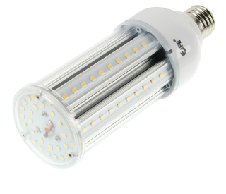 Лампа светодиодная ML-25 FL LED